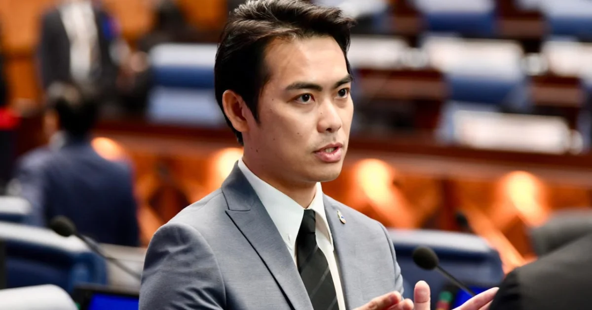 LOI KOK LIANG CADANG CIRI PERINGATAN PARKIR DAN AMARAN SAMAN DALAM GONET