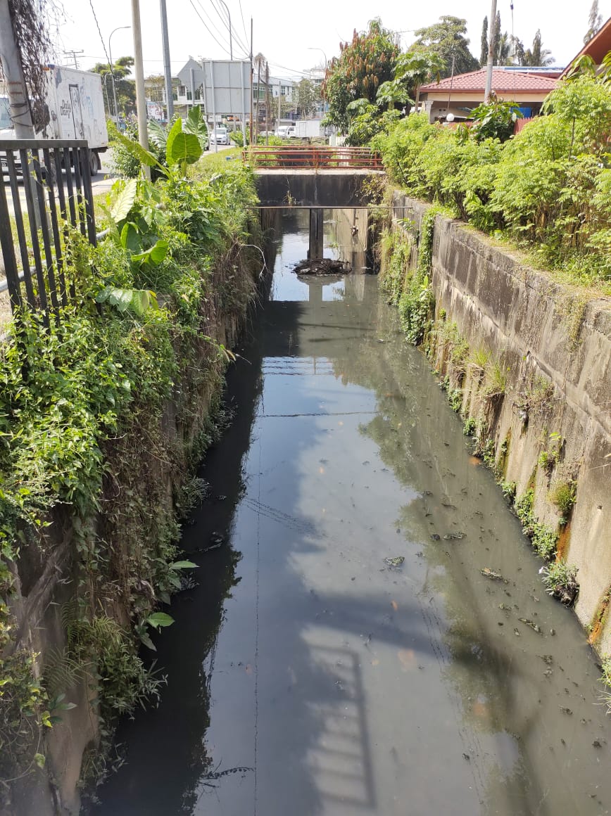 Stagnant water at yue min emitting stench odor