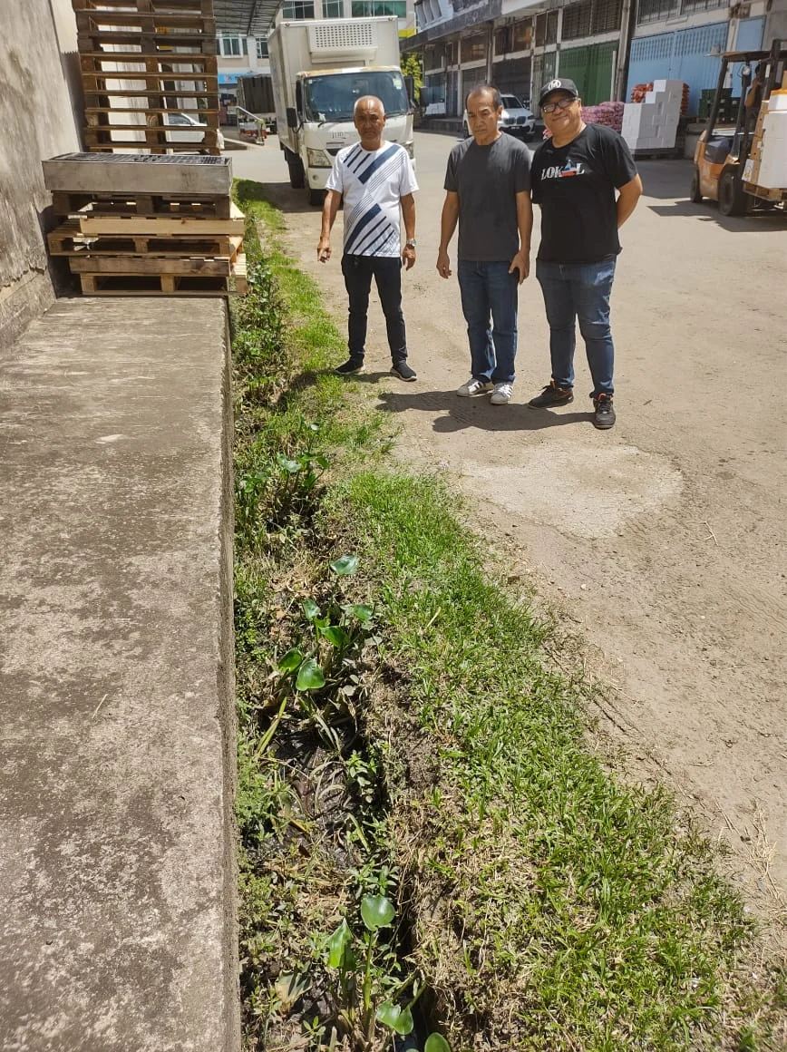 From left : Sam showing the vegetation inside the drain at HSK Industrial Centre with Jeffrey and Christopher